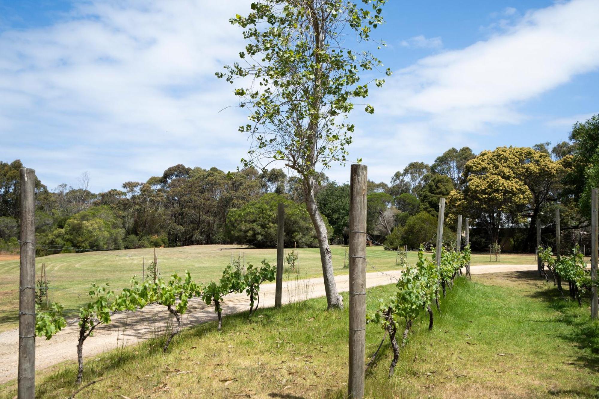 Bells Beach Cottages Bellbrae Exterior foto